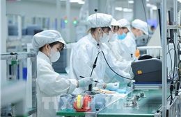 Nghị quyết 10-NQ/TW và bước chuyển chiến lược tư duy - Bài cuối