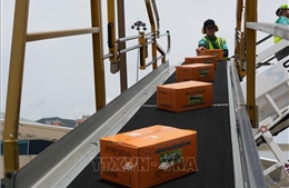 Động đất tại Venezuela: Tiếp nhận hơn 700.000 tấn hàng cứu trợ nhân đạo quốc tế