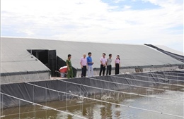 Tín dụng chính sách tiếp sức hành trình hoàn lương