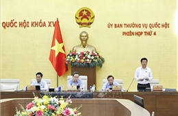 UBTV Quốc hội cho ý kiến về dự án Luật Dầu khí (sửa đổi)