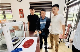 Khởi tố 4 đối tượng trong đường dây mua bán ma túy liên tỉnh, thu giữ 11.600 viên ma tuý tổng hợp