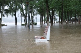 Trung Quốc: Sơ tán trên 260.000 người để ứng phó với bão Bavi