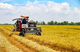 Hướng tới xây dựng người nông dân làm chủ chuyển đổi số