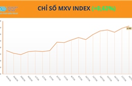 Lực mua áp đảo, chỉ số MXV-Index tiến sát mốc 2.800 điểm