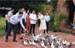 Bước nhảy vọt đưa du lịch thống trị thị trường