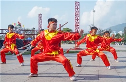 Võ cổ truyền Bình Định giữ vị trí đặc biệt trong nền võ học dân tộc