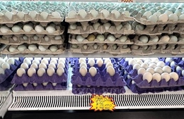 Mỹ ghi nhận gần 100 ca nhiễm khuẩn Salmonella liên quan trứng bị thu hồi
