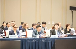 Việt Nam sẵn sàng chia sẻ kinh nghiệm, thúc đẩy hợp tác về quản lý rừng bền vững