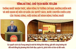 Tổng Bí thư, Chủ tịch nước Tô Lâm: Các quyết sách của Trung ương là một hệ thống liên thông, gắn kết