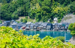 Sắc màu cuộc sống: Về miền bình yên của vùng biển Kyoto (Nhật Bản)