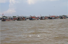 Cà Mau triển khai đợt cao điểm chống khai thác IUU