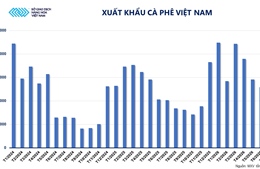 MXV-Index tăng phiên thứ ba liên tiếp, nhóm năng lượng ‘kéo’ thị trường