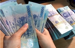 Chuyên gia quốc tế đánh giá tích cực về tiền đồng của Việt Nam