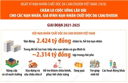Chăm lo cuộc sống lâu dài cho các nạn nhân, gia đình nạn nhân chất độc da cam/dioxin