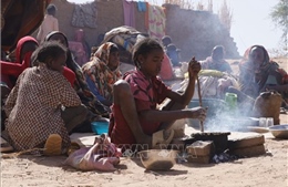 Xung đột Sudan gia tăng sức ép lên các nước láng giềng