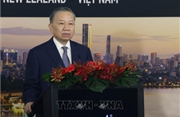 Tổng Bí thư, Chủ tịch nước Tô Lâm dự Hội nghị bàn tròn doanh nghiệp New Zealand - Việt Nam