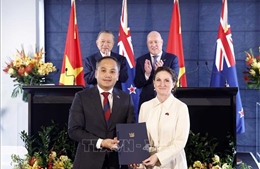 Mở ra giai đoạn hợp tác thực chất, hiệu quả và bền vững hơn giữa Việt Nam - New Zealand
