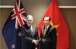 Hội nghị Bộ trưởng Ngoại giao Việt Nam - New Zealand lần thứ 4