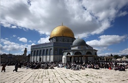 Nam giới Do Thái được phép mang sách cầu nguyện lên Núi Đền/Al-Aqsa