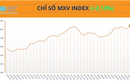 Sắc xanh bao phủ thị trường hàng hóa, MXV-Index tăng 60 điểm