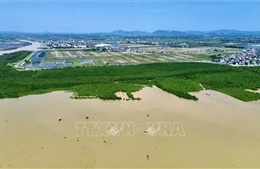 Ứng phó thiên tai và biến đổi khí hậu ở xứ Thanh - Bài cuối: Không để bị động trong mọi tình huống