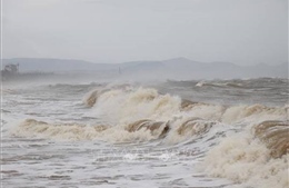 Các xã ven biển Quảng Ngãi chủ động ứng phó áp thấp nhiệt đới