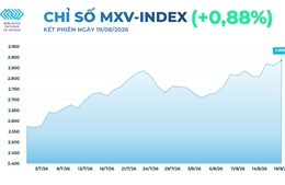 Giá năng lượng và kim loại quý đồng loạt tăng mạnh, MXV-Index áp sát 2.900 điểm