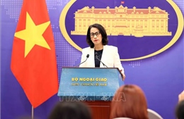 Việt Nam kiên quyết ngăn chặn gian lận xuất xứ và trung chuyển hàng hóa bất hợp pháp