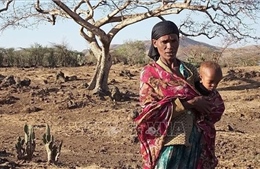 El Nino có thể mạnh kỷ lục, đe dọa 'phủ bóng' lên kinh tế toàn cầu