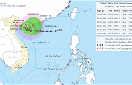 Áp thấp nhiệt đới đã mạnh lên thành bão - bão số 4 trong năm 2026