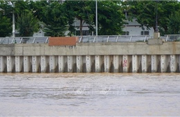 Khẩn trương hoàn thành kè bảo vệ bờ sông Tiền trước cao điểm mùa lũ