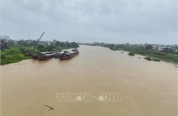Bộ Nông nghiệp và Môi trường chỉ đạo đảm bảo an toàn hệ thống đê điều ứng phó lũ