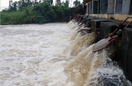 Hải Phòng khẩn trương tiêu úng, bảo vệ hơn 14.000 ha cây trồng bị ngập