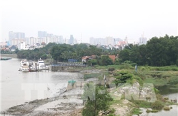 TP Hồ Chí Minh có 83 trường hợp vi phạm hành lang bờ sông, kênh, rạch