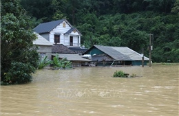 Bão số 4 ít di chuyển, giữ nguyên cường độ trên vùng biển phía Đông Bắc đặc khu Bạch Long Vĩ