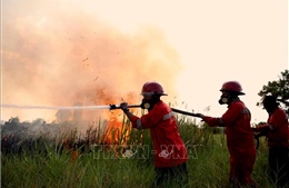 Indonesia huy động tổng lực ứng phó cháy rừng
