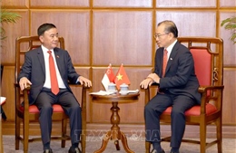 Đưa hợp tác song phương Việt Nam - Singapore phát triển toàn diện, đi vào chiều sâu, thực chất