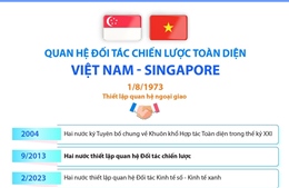 Quan hệ Đối tác chiến lược toàn diện Việt Nam - Singapore