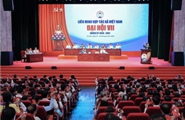 Liên minh Hợp tác xã đặt mục tiêu có hơn 5.000 hợp tác xã ứng dụng công nghệ cao
