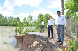 Triển khai các giải pháp cấp bách ứng phó với sạt lở bờ sông, nội đồng