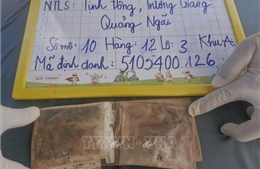 Phát hiện di vật mang tên liệt sĩ Trần Văn Thanh trong quá trình lấy mẫu ADN