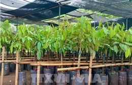 Cắt giảm hàng loạt thủ tục, điều kiện kinh doanh trong lĩnh vực nông nghiệp, môi trường
