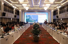Hội nghị Kết nối Huế - Nhật Bản năm 2026