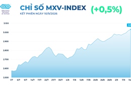 MXV-Index nối dài đà tăng sang phiên thứ 4, dao động trên mốc 3.000 điểm