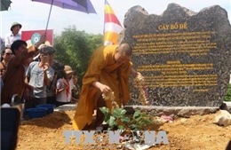 Rước cây Bồ Đề thiêng về trồng tại chùa Tam Chúc (Hà Nam) 