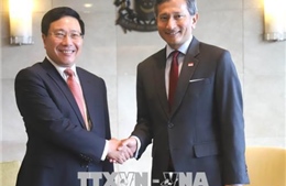 Việt Nam - Singapore nhất trí triển khai hiệu quả những thỏa thuận cấp cao đã đạt được