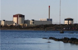 Nước biển nóng buộc Thụy Điển đóng cửa lò phản ứng điện hạt nhân