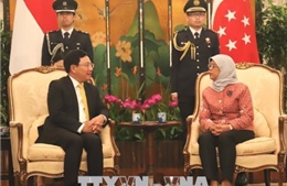 Phó Thủ tướng Phạm Bình Minh hội kiến với Tổng thống và Thủ tướng Singapore