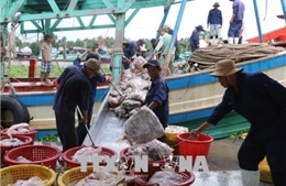 Triển khai Luật Thủy sản và khắc phục &#39;thẻ vàng&#39; IUU