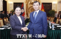 Tham khảo Chính trị giữa hai Bộ Ngoại giao Việt Nam - Lào lần thứ ba 